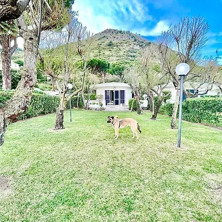 Willa Sulla X6 Con Giardino E Posti Auto